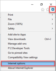 Internet Explorer Options